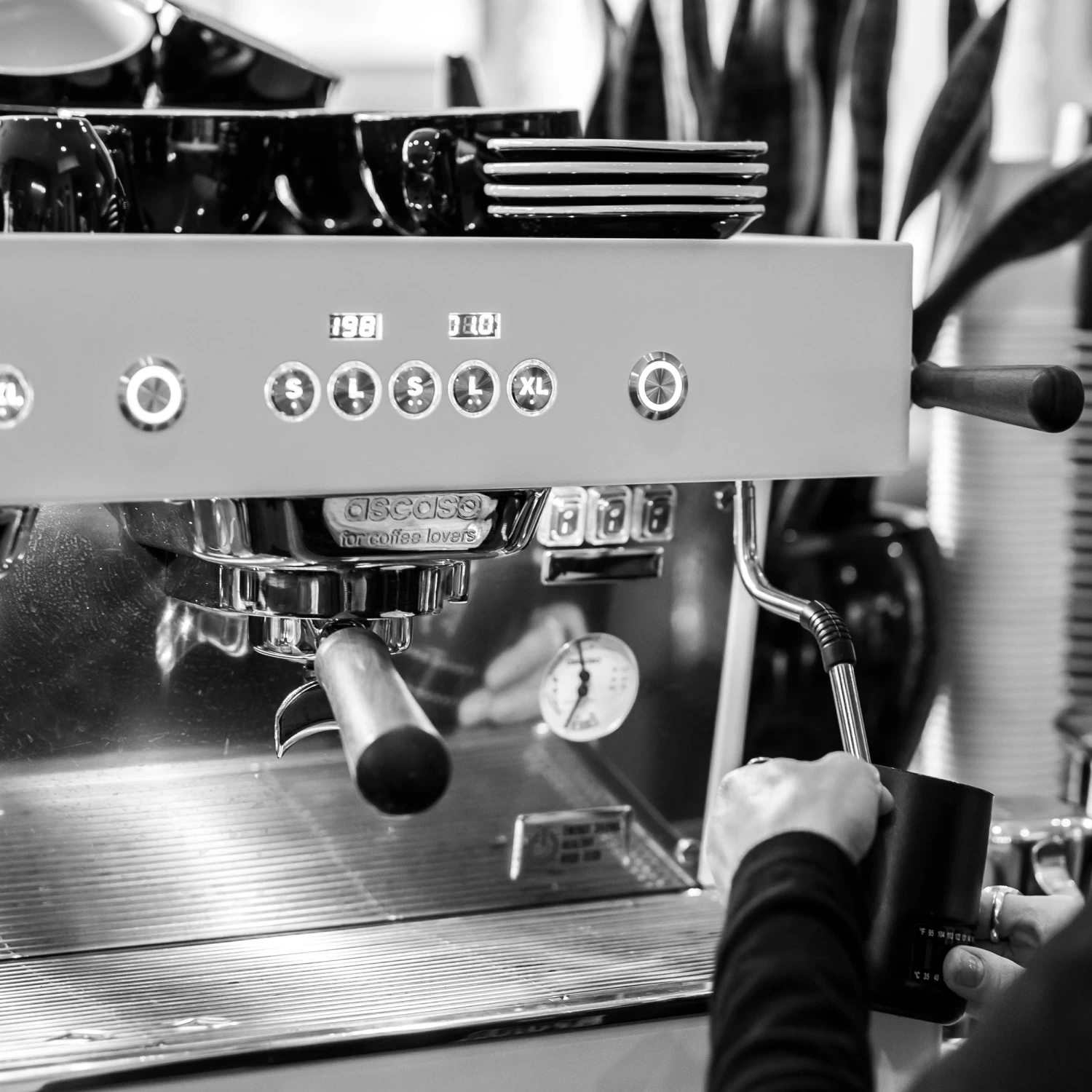 Ascaso Barista T Plus, Automatic 2 Group Espresso Machine, With Thermodynamic Technology (Black) 6 Ascaso Barista T Plus, Automatic 2 Group Espresso Machine, With Thermodynamic Technology (Black) - Image 4